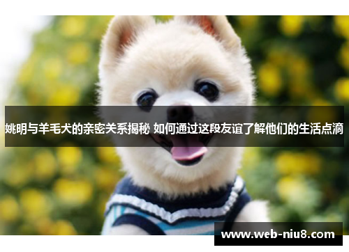 姚明与羊毛犬的亲密关系揭秘 如何通过这段友谊了解他们的生活点滴